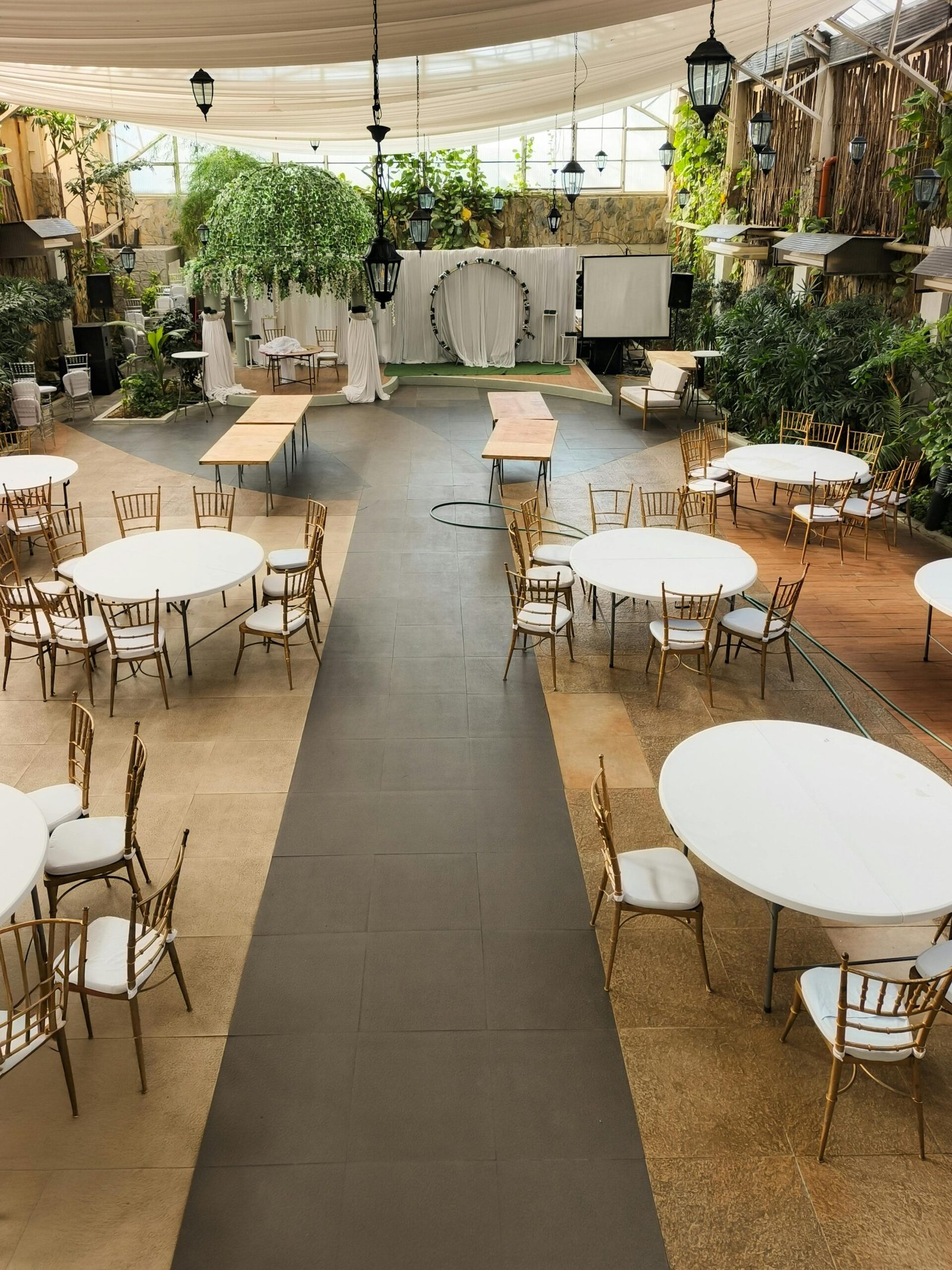 pexels-kimymoto-36574443